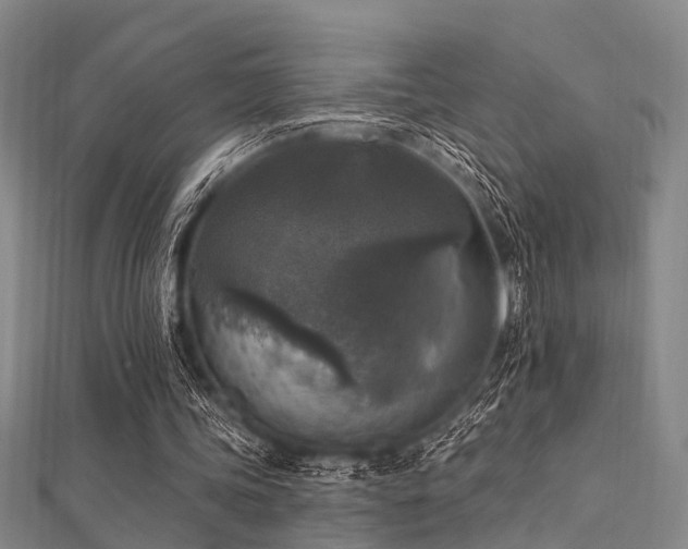 X0000112350339200908131433