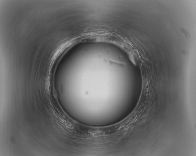 X0000112350340200908131433