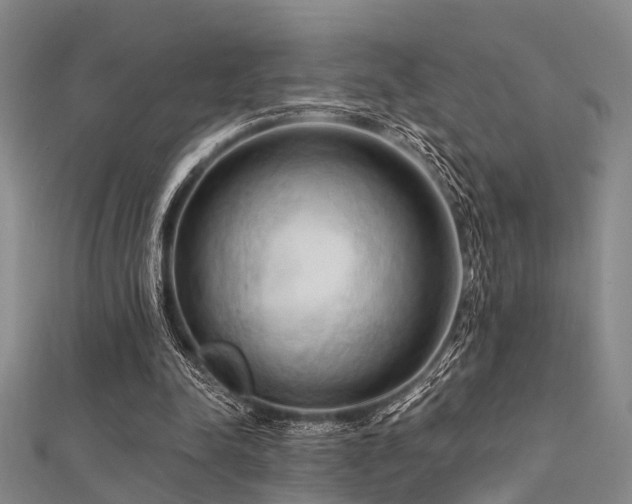 X0000112350342200908131433