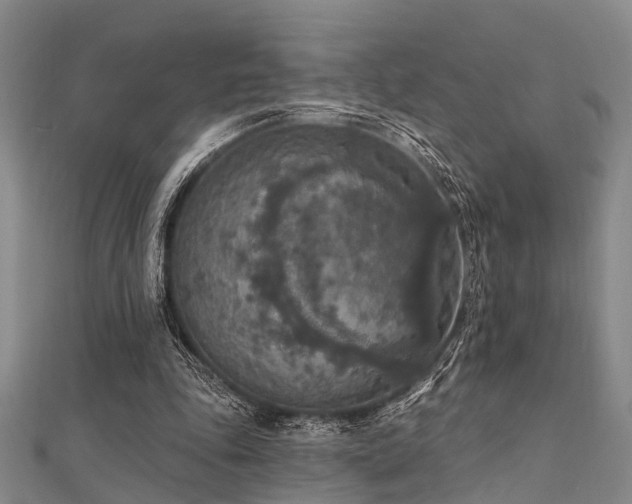 X0000112350343200908131433