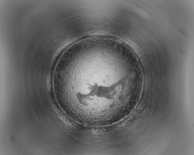 X0000112350345200908131433