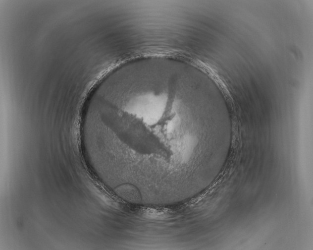 X0000112350346200908131433