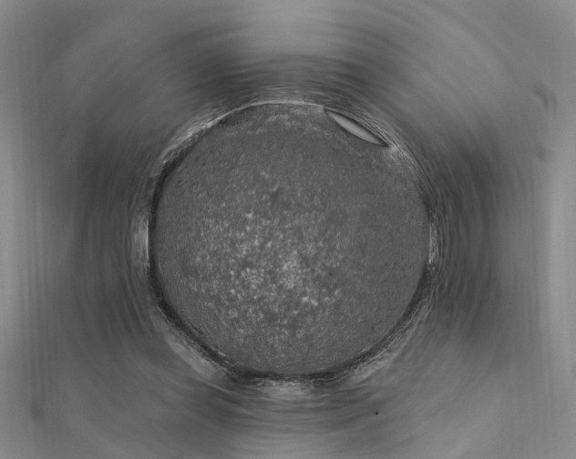X0000112350349200908131433