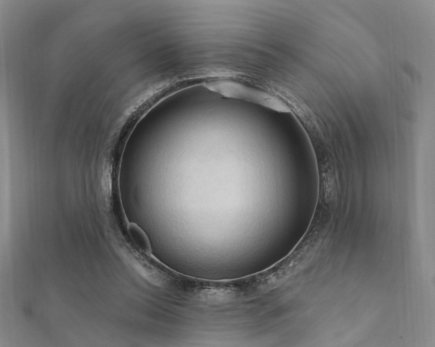 X0000112350350200908131433