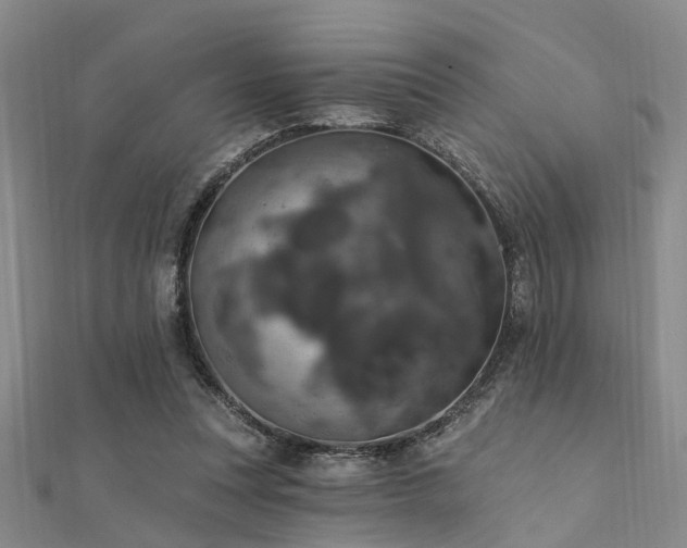 X0000112350351200908131433