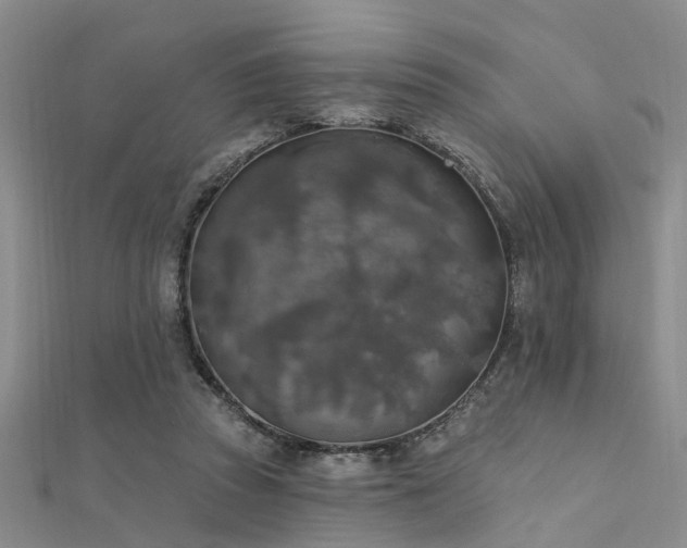 X0000112350353200908131433