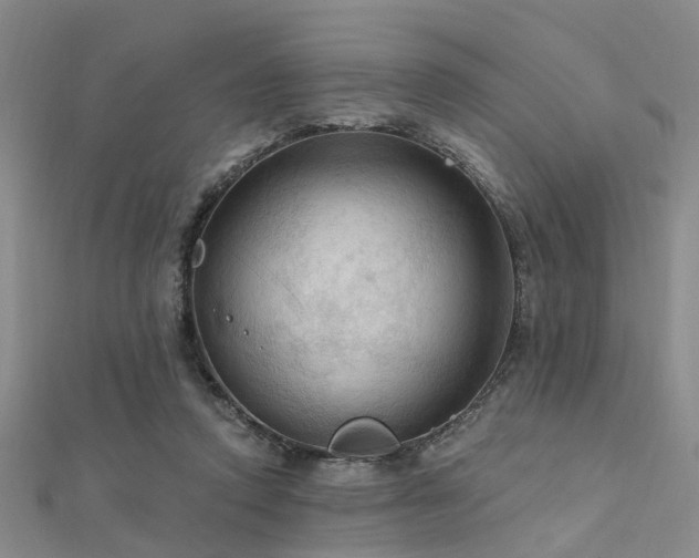 X0000112350354200908131433