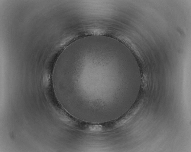 X0000112350355200908131433