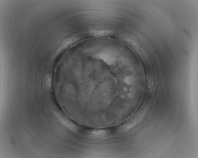 X0000112350357200908131433