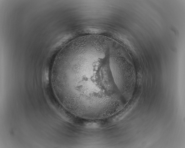 X0000112350358200908131433