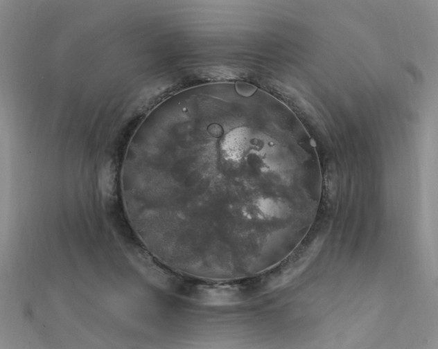 X0000112350359200908131433