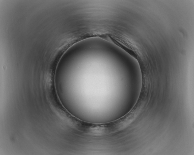 X0000112350362200908131433