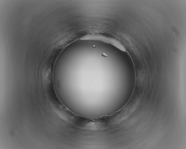 X0000112350364200908131433