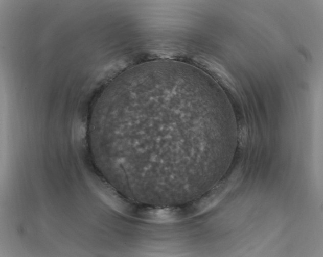 X0000112350365200908131433