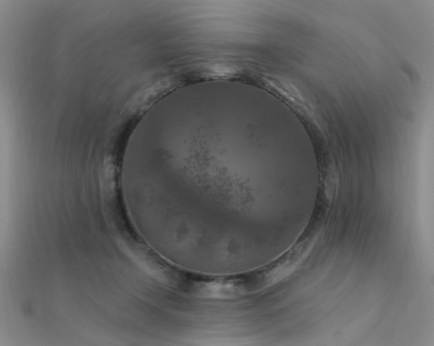 X0000112350366200908131433
