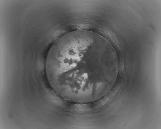 X0000112350367200908131433