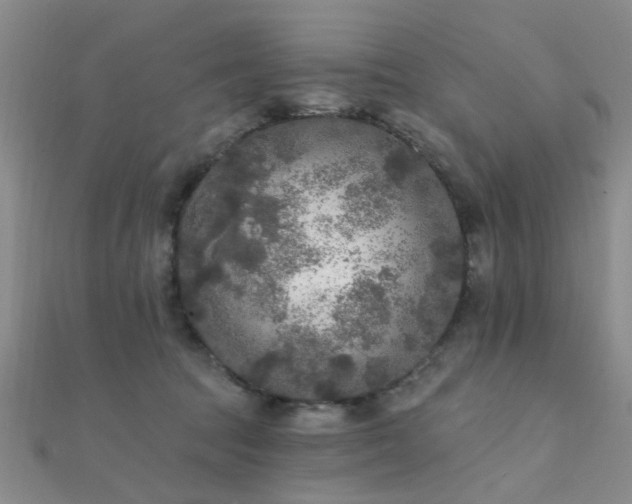 X0000112350369200908131433