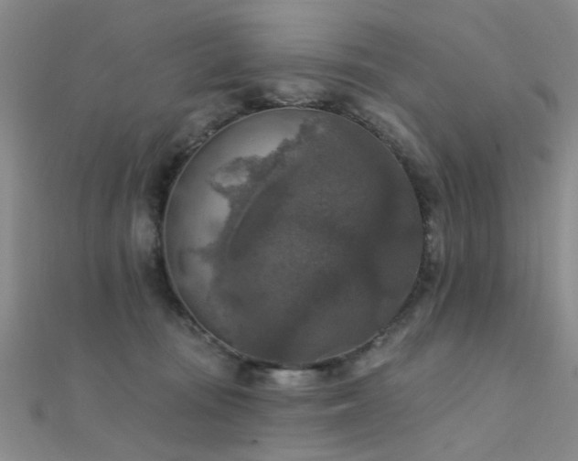 X0000112350371200908131433