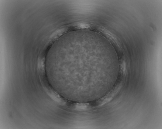 X0000112350373200908131433