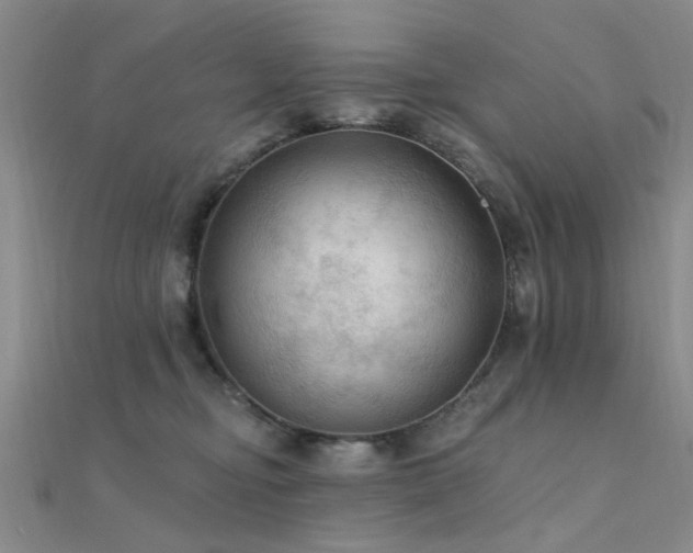 X0000112350374200908131433