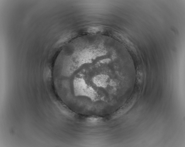X0000112350375200908131433