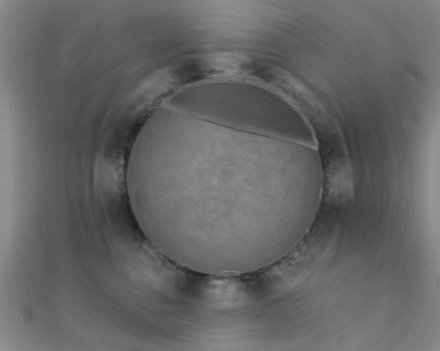 X0000112350376200908131433