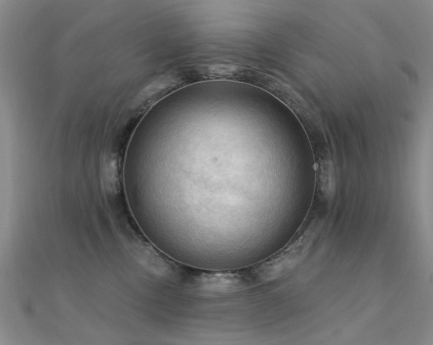 X0000112350378200908131433