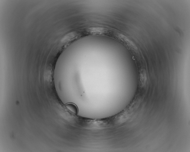 X0000112350379200908131433