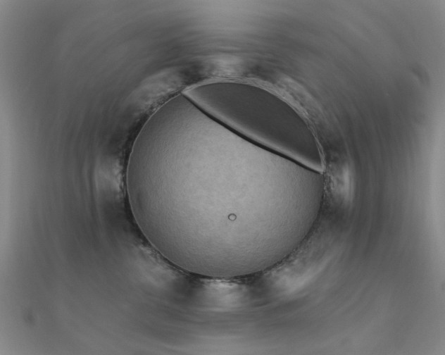 X0000112350380200908131433