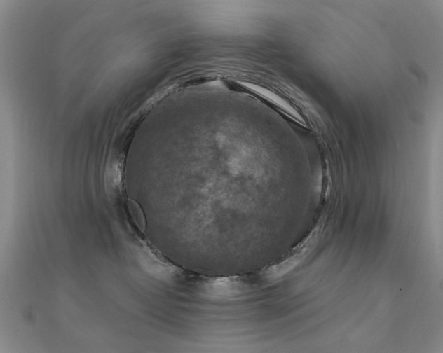 X0000112350382200908131433