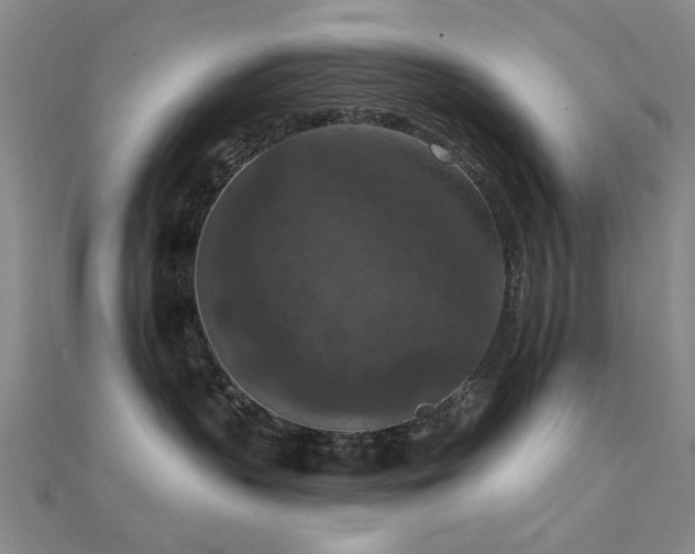 X0000112350383200908131433