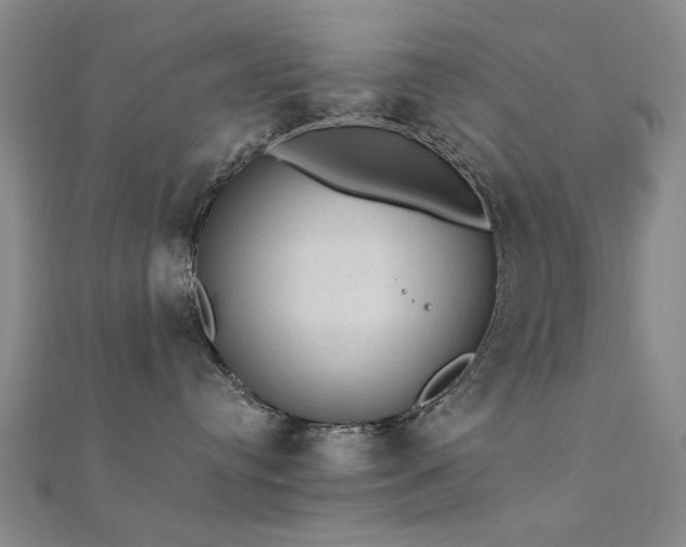 X0000112350384200908131433