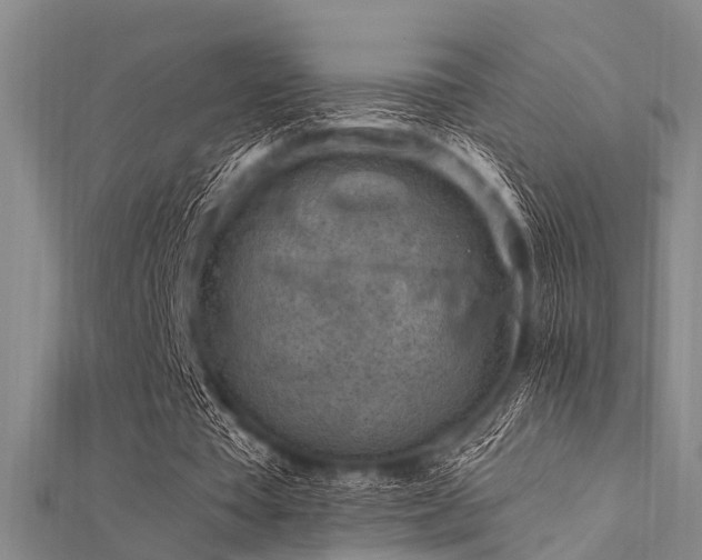 X0000112350385200908131433