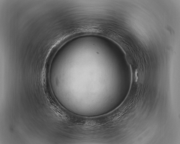 X0000112350388200908131433