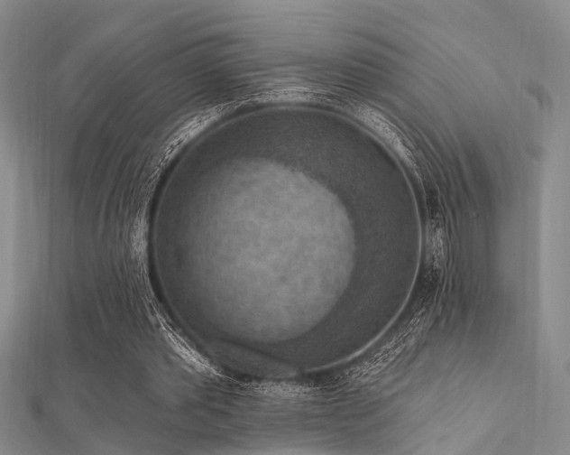 X0000112350389200908131433