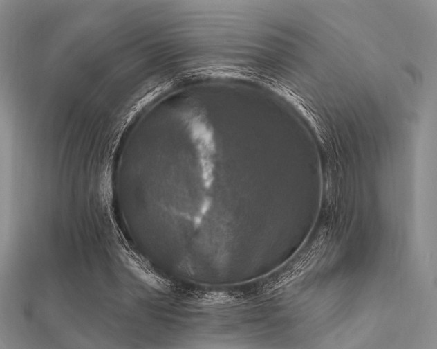 X0000112350390200908131433