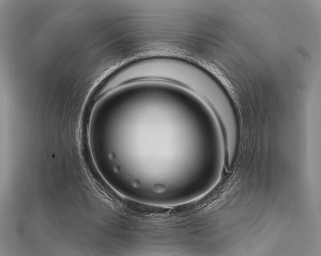 X0000112350391200908131433