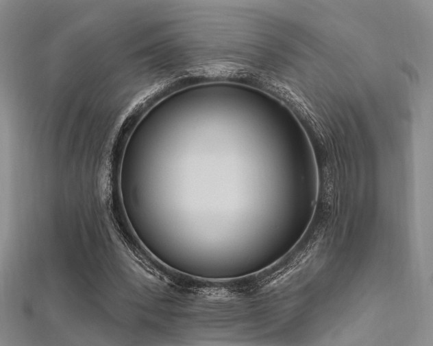 X0000112350392200908131433