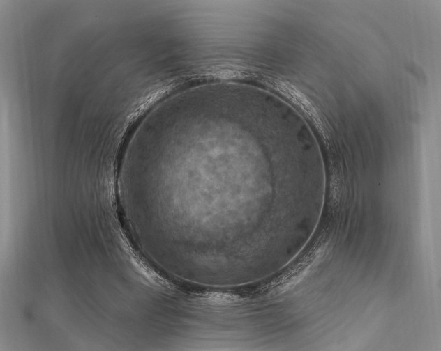 X0000112350393200908131433