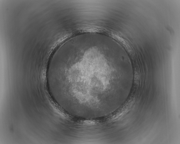 X0000112350394200908131433