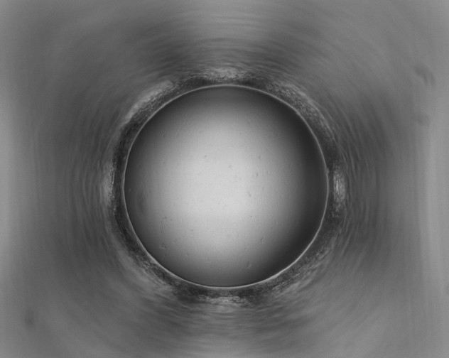 X0000112350396200908131433
