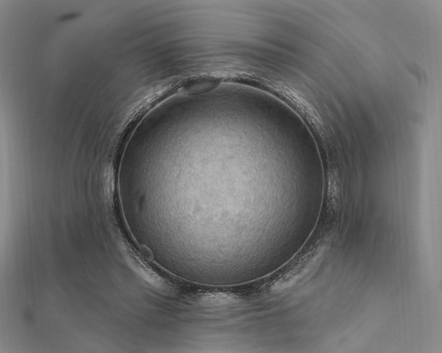X0000112350397200908131433