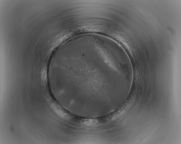 X0000112350398200908131433