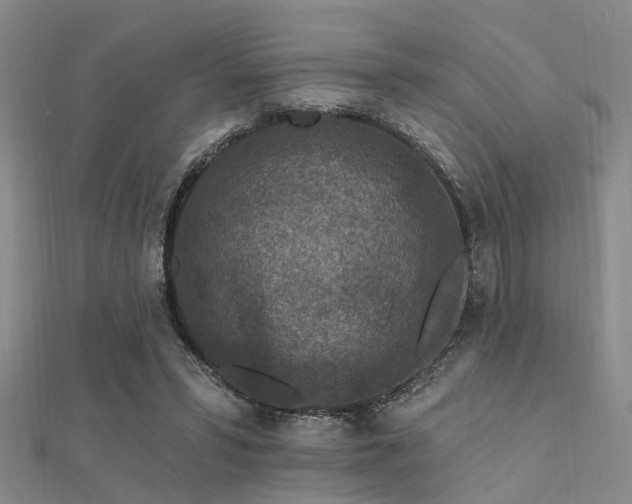 X0000112350399200908131433
