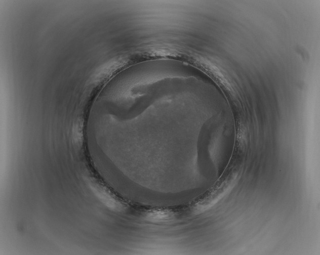 X0000112350402200908131432