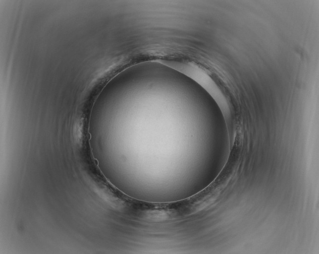 X0000112350404200908131432