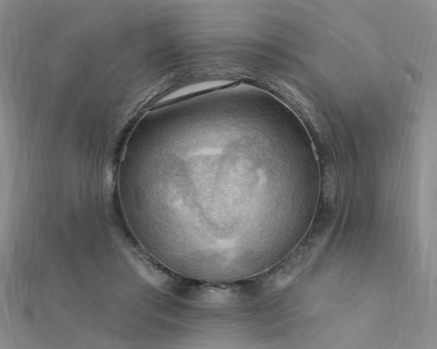 X0000112350405200908131432