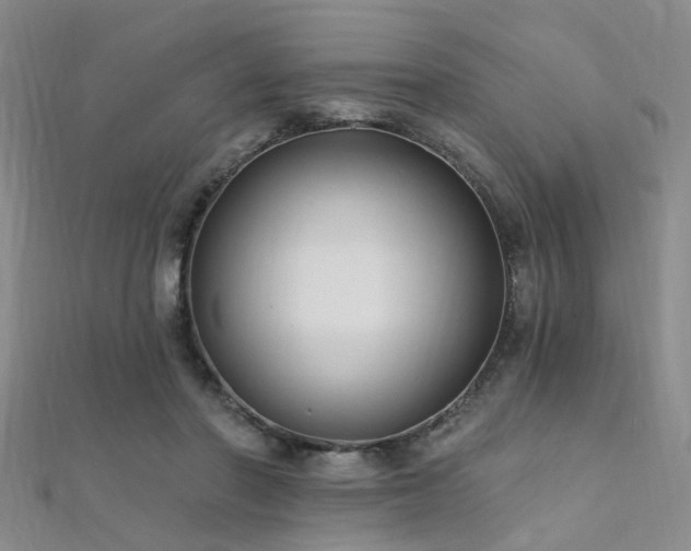 X0000112350406200908131432