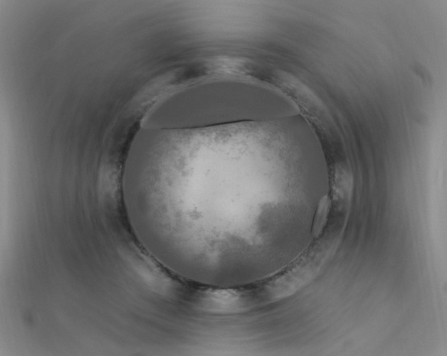 X0000112350409200908131432