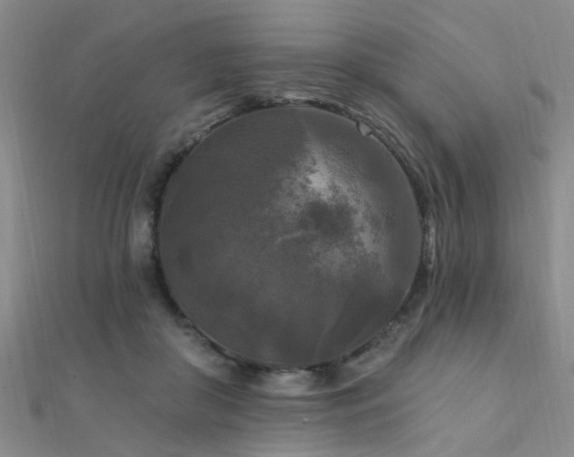 X0000112350410200908131432